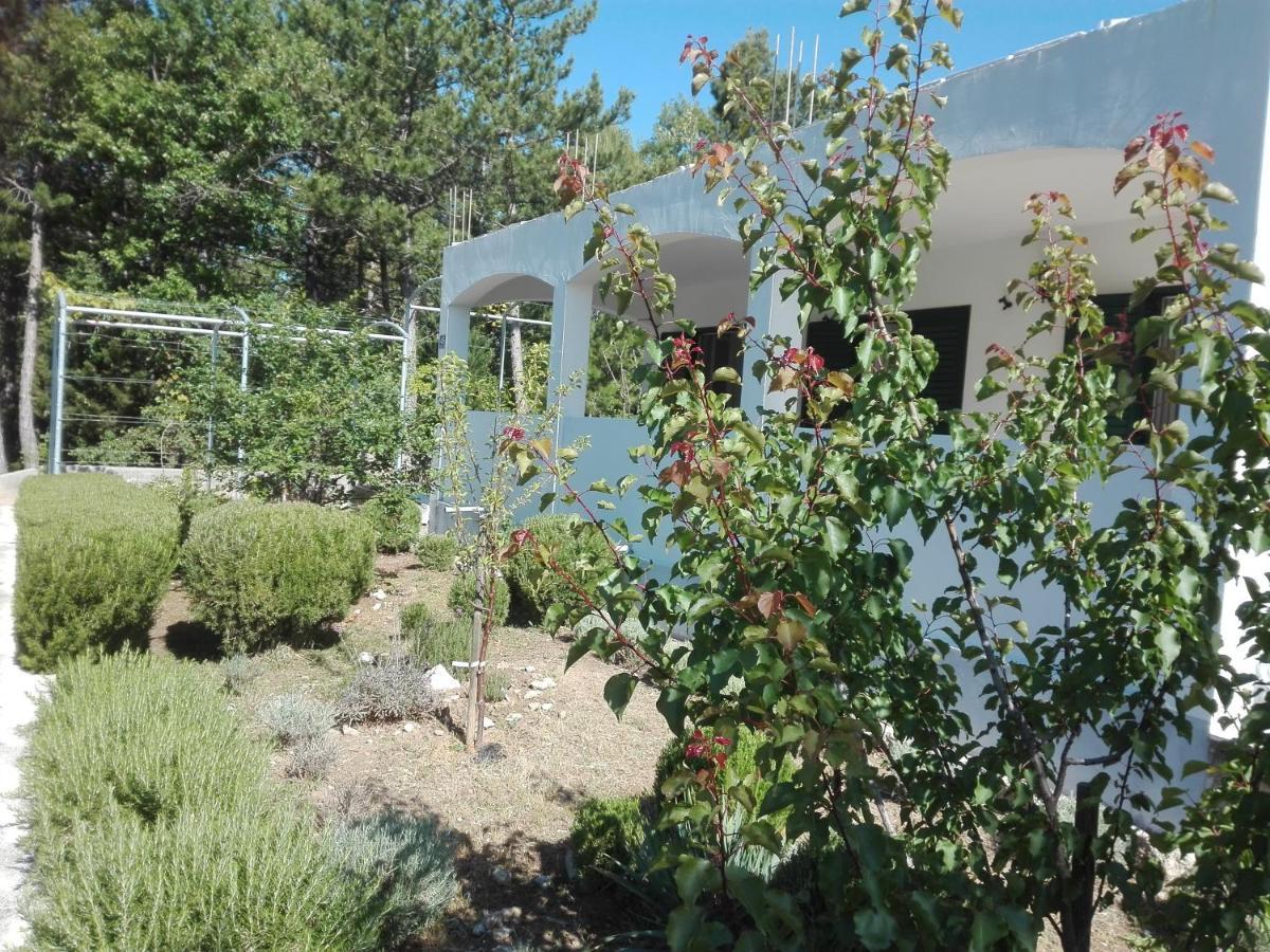 Kuca Za Odmor Maka Villa Kucice Exterior photo